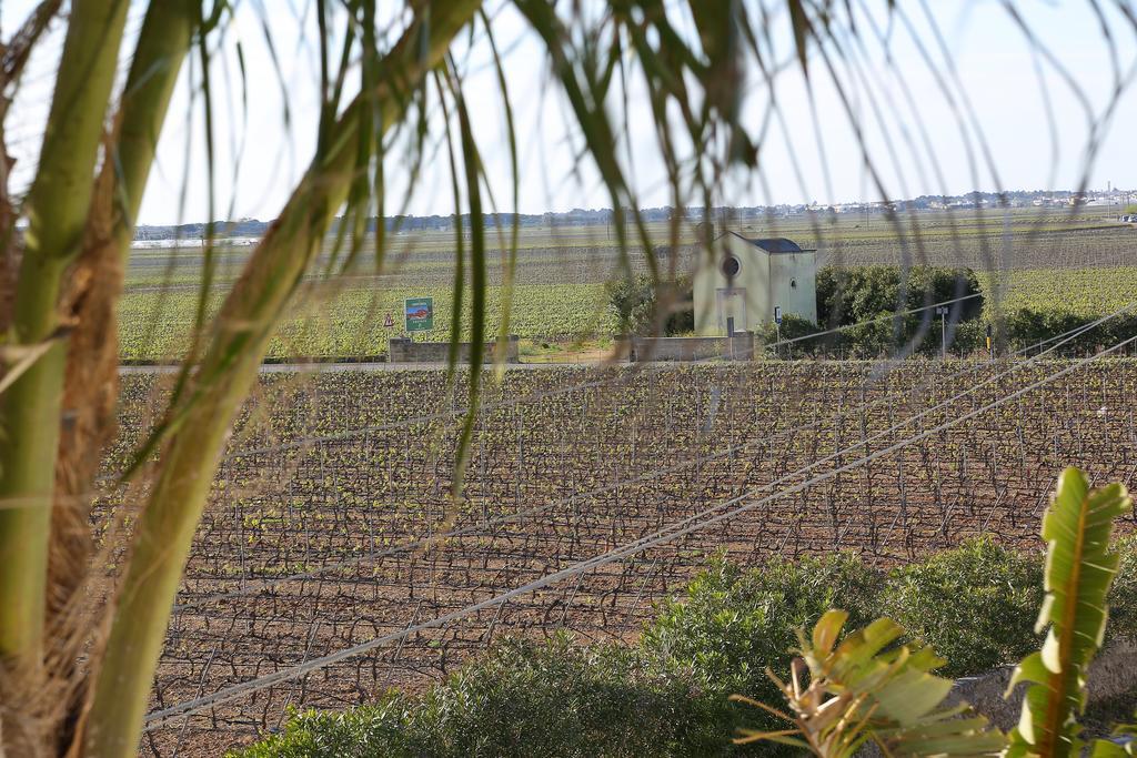לבראנו Eco Green La Vigna חדר תמונה